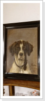Ölbild Hund Cora 1918 30x40cm Fr. 50.-